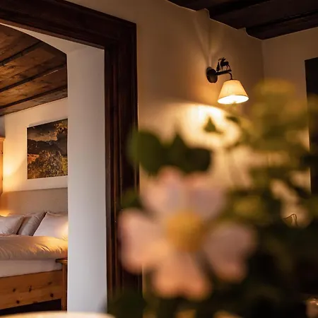 Apartamento Hofmusikerhaus Hofmusikerhaus 1