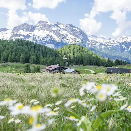 Hofmusikerhaus Hofmusikerhaus 1