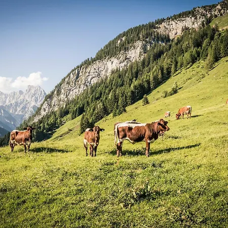 Hofmusikerhaus Hofmusikerhaus 1 Appartamento Berchtesgaden